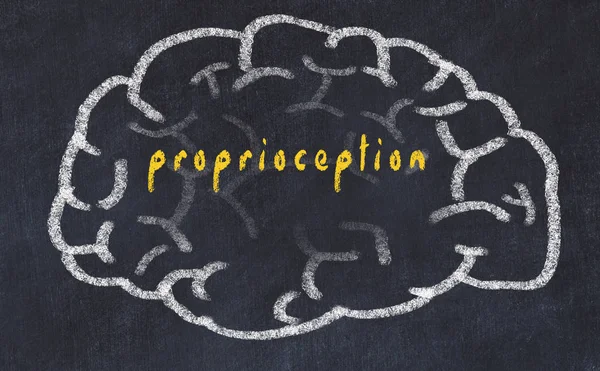 What is Proprioception (and can you improve it)?